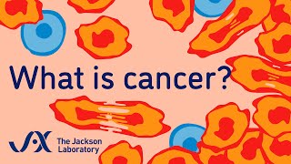 What is cancer  Animation  Minute to Understanding [upl. by Lenad]