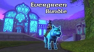 Wizard101 A Look at the NEW Evergreen Bundle amp Bundle Giveaway [upl. by Oliric]