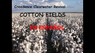 Creedence Clearwater Revival  Cotton Fields Español [upl. by Jedlicka962]