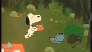 Snoopy en campamento [upl. by Nemra]