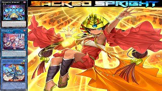 Spright Nephthys Deck 2024yugioh master duel [upl. by Thelma]