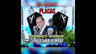 DESCARGA NOMBRES WALDEMARO MARTÍNEZ 2023 PLACAS TIP JINGLES WALDEMARO [upl. by Deeyn]