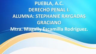 TEMA 6 teoria de la ley penal [upl. by Ydorb392]