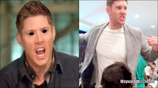 Rude Fan Accuses Jensen Ackles Wife Danneel Of Cheating On Him [upl. by Ueih]