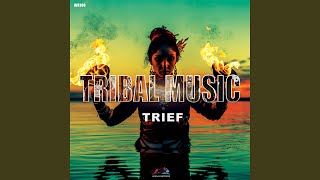 Tribal Music [upl. by Htiffirg843]