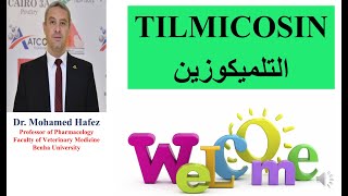 التلميكوزين في الدواجن TILMICOSIN [upl. by Assyla]