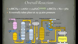 AMMONIA PRODUCTIONavi [upl. by Ellatsyrc612]