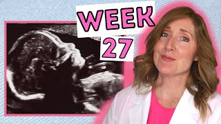 What to Expect at 27 Weeks  Week by Week 27 Weeks Pregnant in Months [upl. by Cho]