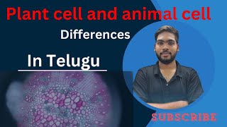 DIFFERENCE BETWEEN PLANT CELL AND ANIMAL CELL  KISHORE BIOLOGY TUTORIALS [upl. by Marthena788]