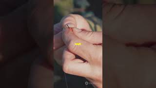 Bank Fishing Hacks You Need to Know🎣 fishing spottedbass bassfishing bassfishinglures [upl. by Mena]