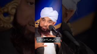 Muhammad Raza Saqib Mustafai Mustafai Status Video123 [upl. by Notsniw]