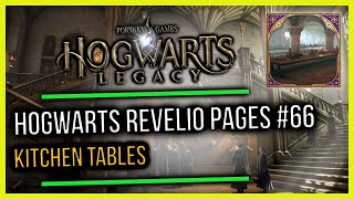 Hogwarts Castle Field Guide Revelio Pages 66 Kitchen Tables [upl. by Hollerman]