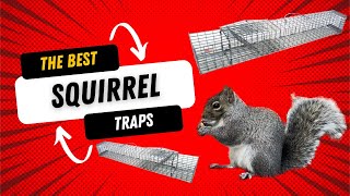 The Traps the Pros Use to remove Multiple Squirrels at Once [upl. by Burford405]