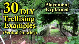 30 DIY Garden Trellising Examples Build Overview Crop Examples amp Placement Strategies [upl. by Aldas]