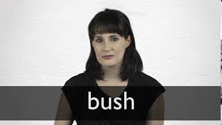 How to pronounce BUSH in British English [upl. by Retepnhoj]