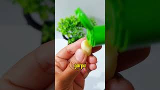 Jangan ada GaTal di antara kita 😱⁉️ tips tipsdantricks tipssehat gatal kulit [upl. by Ettesyl]