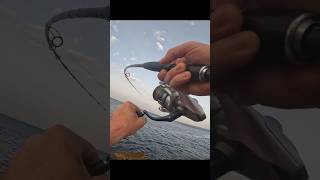 💥2nd STRIKE was EXPLOSIVE🎣🌟 shorejigging [upl. by Aniz]