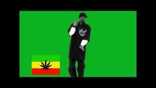 Snoop Dogg  Smoke Weed Everyday Remix [upl. by Luella346]