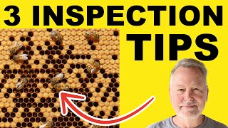 Beekeeping Inspections Simplified 3 Essential Elements [upl. by Masson839]