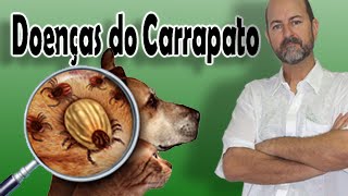 DOENÇAS DOS CARRAPATOS [upl. by Daht160]