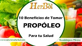 Propóleo COMO TOMARLO para que sirve 10 Beneficios Curativos para la Salud [upl. by Enelrae366]