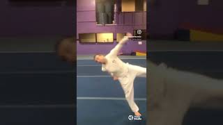 Brandon BKick Reynolds  Fall Kicks 2024 taekwondo lornashore martialarts martialartist tkd [upl. by Bautista]