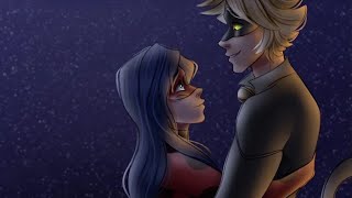 Kuro Neko Comic  Miraculous Ladybug Comic Dub [upl. by Eednarb382]