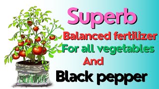 All of yaramila complex fertilizerBest fertilizer for black pepper Agri Survival [upl. by Enyad]