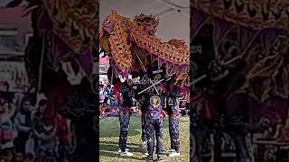 Acrobatic Chinese Dragon Dance [upl. by Hadias]