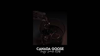 canada goose  tayz junior nrb slowed  reverb [upl. by Januarius335]