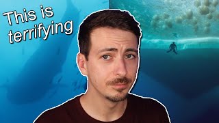 Watching Scary Underwater Videos Just To Torture Myself [upl. by Laurens]