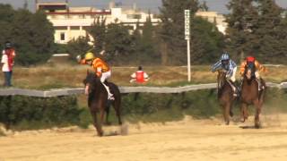 Grand Prix du Président de la République de Tunisie  victoire de Borj Al Amri [upl. by Inoek271]