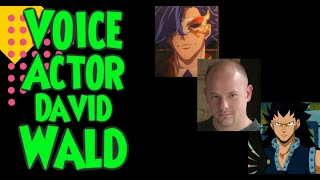 Interview with Voice Actor David Wald anime fairytail akamegakill [upl. by Ahsrat]