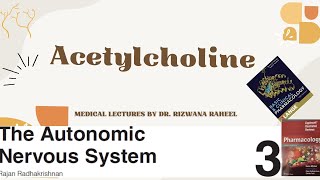 ACETYLCHOLINE  Cholinergic agonist  Pharmacology Lippincott Illustrated Reviews Series Katzung [upl. by Weinberg]