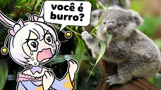 COALAS SÃO BURROS Como os coalas e os pandas ainda existem feat pamytube e RavielKarim [upl. by Akinar594]