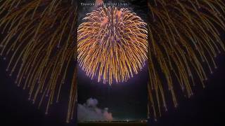 I love BIG fireworks bombs Worlds Biggest Firework Bombs shorts [upl. by Alfred]