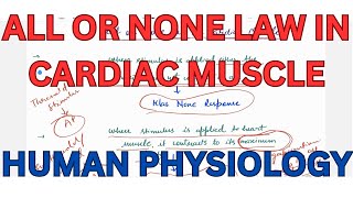 All or None Law in Cardiac Muscle Cardiac muscle Human Physiology [upl. by Arrik809]