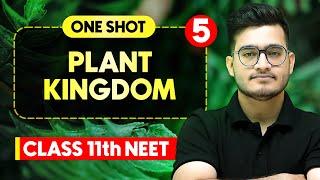 PLANT KINGDOM  Complete Chapter in One Video  ConceptsPYQs  Class 11th NEET [upl. by Auqinat]