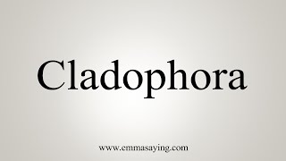 How To Say Cladophora [upl. by Dnallor662]