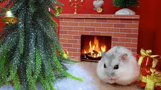 🎄🎁 Hamster Christmas Maze Winter Adventure with Obstacles 🐹 [upl. by Ayotaj]