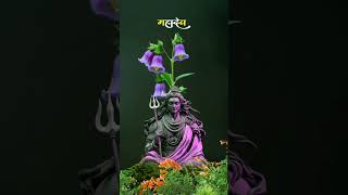 Aa Gaya Dar Pe Tere🙇🏻🙏🏻 mahadev mahadevstatus mahakalstatus bholenath shiv ytshorts explore [upl. by Aneris]