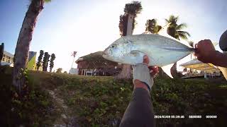 Good morning Saipan try on my old fishing spot landed one 4lb trevally [upl. by Behn]