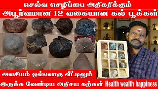 செல்வ செழிப்பை அதிகரிக்கும் அபூர்வமான 12 வகையான கல் பூக்கள் Dr மாயன்செந்தில்குமார் [upl. by Essirahs]