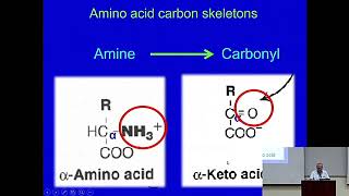 Catabolism of Amino Acids An Overview Metabolism Made Easy [upl. by Malik993]