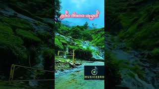 Nuwara wewataMusiczbro music newmusic livemusic newsong live shorts nature [upl. by Ataeb]