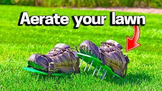 How to Aerate a Small Lawn [upl. by Araiet920]