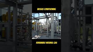 RNG Biogas Compression Systems Florida Site [upl. by Immac]