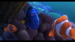 DORY  Trailer Reverse [upl. by Llerrod]