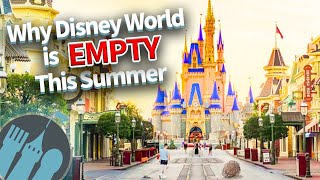 Why Disney World is EMPTY This Summer [upl. by Choong]