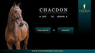 Chacdon  Chacgrano  Carembar de Muze 2019 OS gelding [upl. by Ifok]